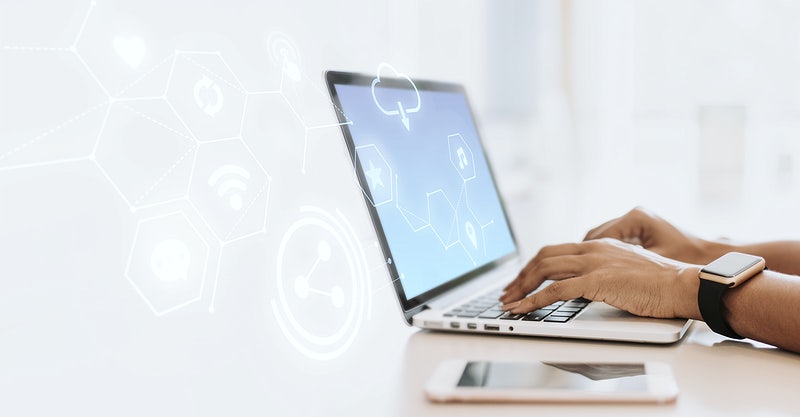 web yazılım programı