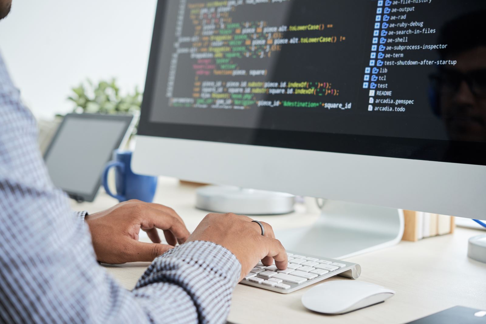 web tasarım programı