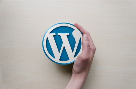 What are the Best WordPress SEO Plugins To Help Boost Website Traffic? 